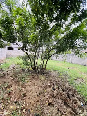 Half Plot of Land Selling in Klagon, Tema West Prime