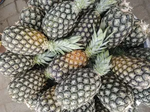 Vegetable , Fruit and More