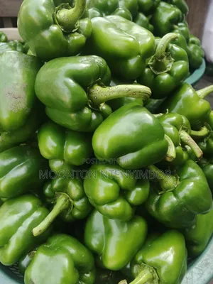Vegetable , Fruit and More