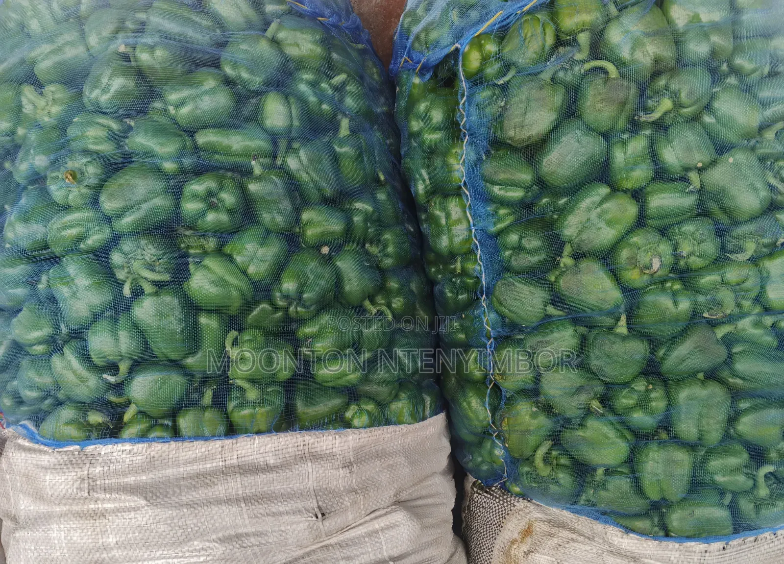 Vegetable , Fruit and More