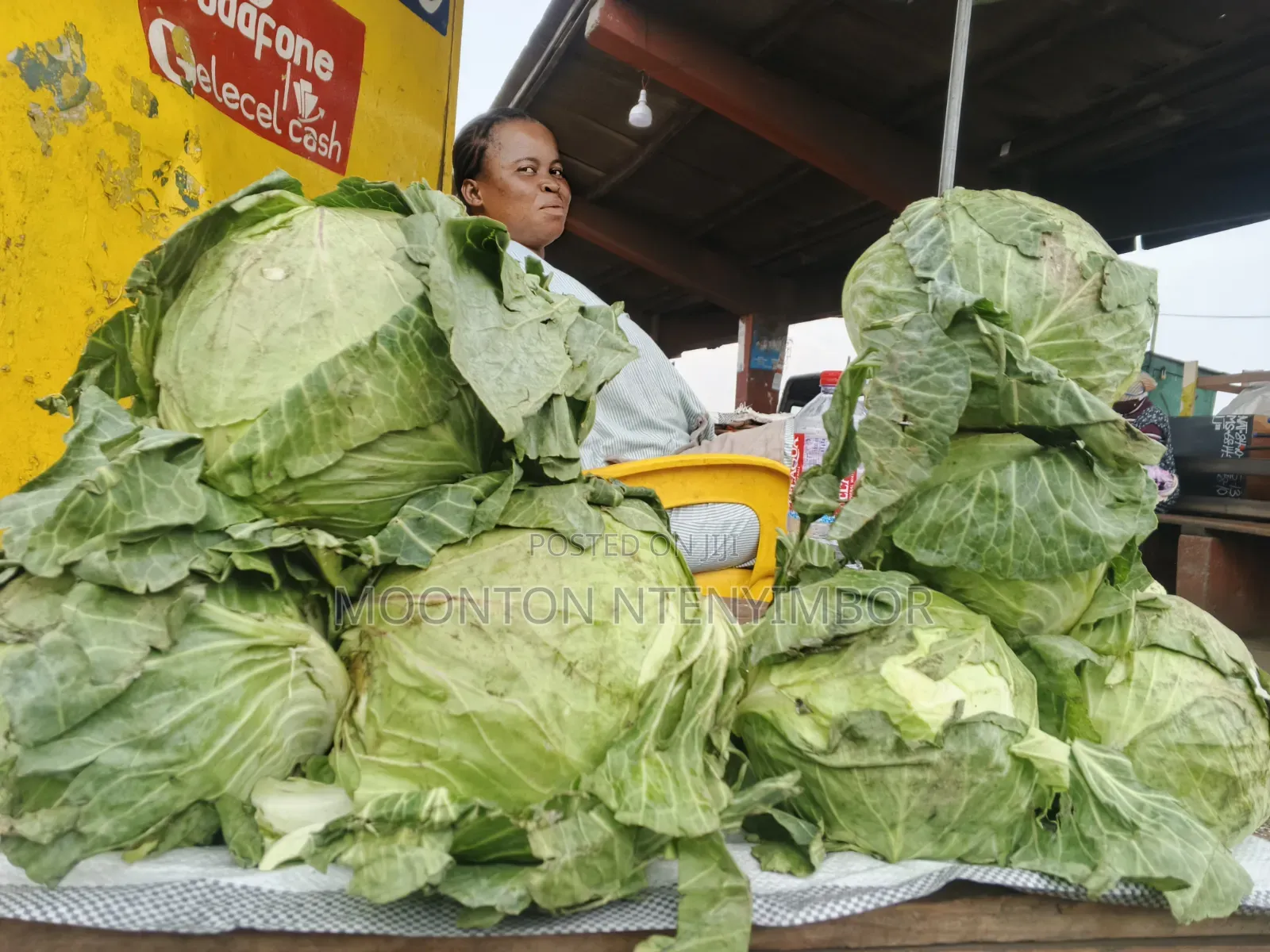 Vegetable , Fruit and More