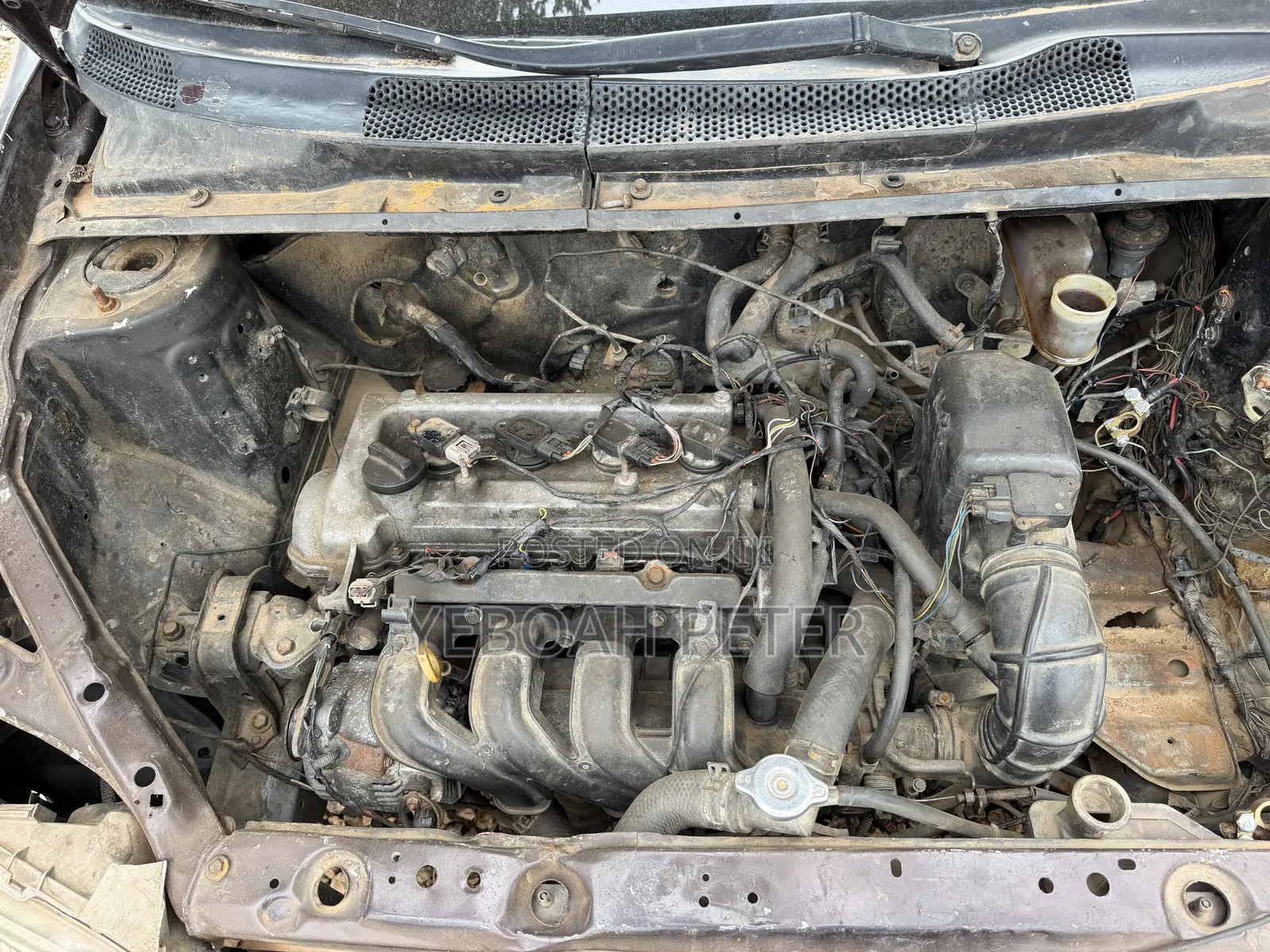 Toyota Echo 2008 Brown