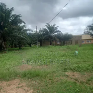 4 Acre Land at Ejisu - Sarpe