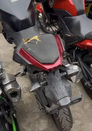 Kawasaki 2017 Red