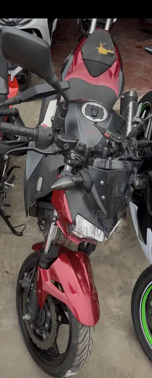 Kawasaki 2017 Red