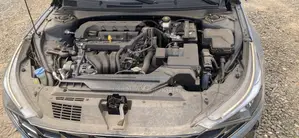 Hyundai Elantra Limited 2023 Green