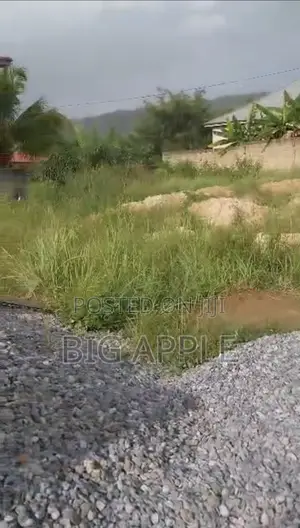 Walled Plot of Land at Amasaman Satellite