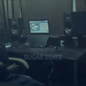 Professional Sound Engineer.Beat Sampling and Pro Vocal Recording .