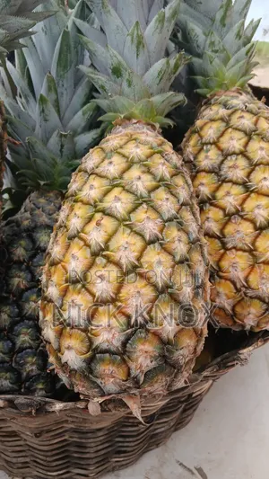 Fresh Pineapple