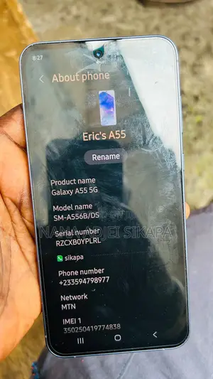 Samsung Galaxy A55 256 GB Blue