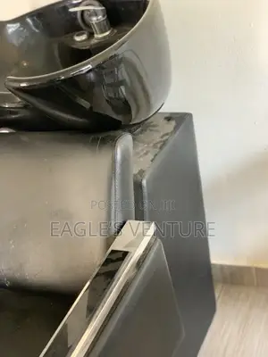 Executive Full Leather Hair Washing Basin