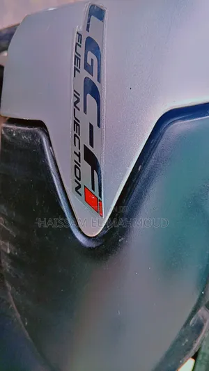 Lifan 2022 Green