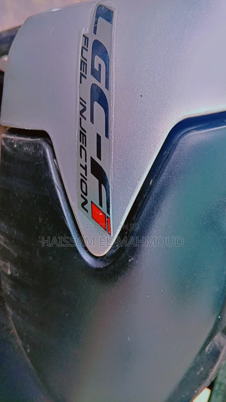 Lifan 2022 Green