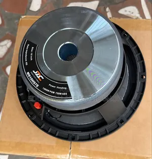 JAC MS10H97E 10-Inch Double Magnet Professional Naked Speaker(1pair)