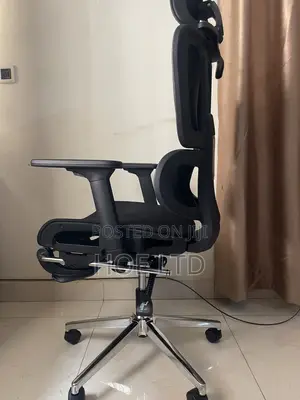 Ergonomic Mesh Swivel Chair