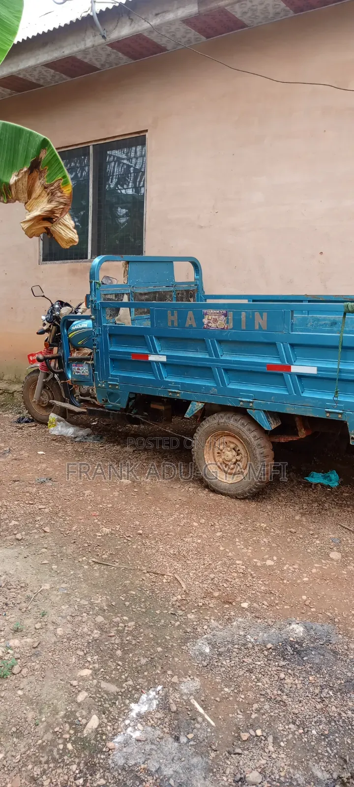Haojin Tricycle 2025 Blue