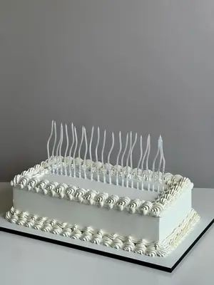 Rectangular Birthday Cake
