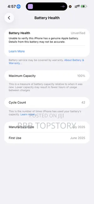 Apple iPhone 15 Pro Max 256 GB Silver