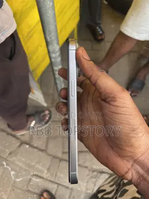 Apple iPhone 15 Pro Max 256 GB Silver