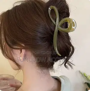 Ladies Hair Clip