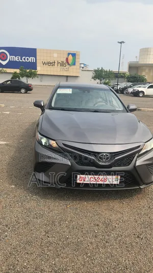 Toyota Camry SE (2.5L 4cyl 8A) 2019 Gray