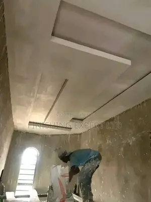 P.O.P Ceiling Expert
