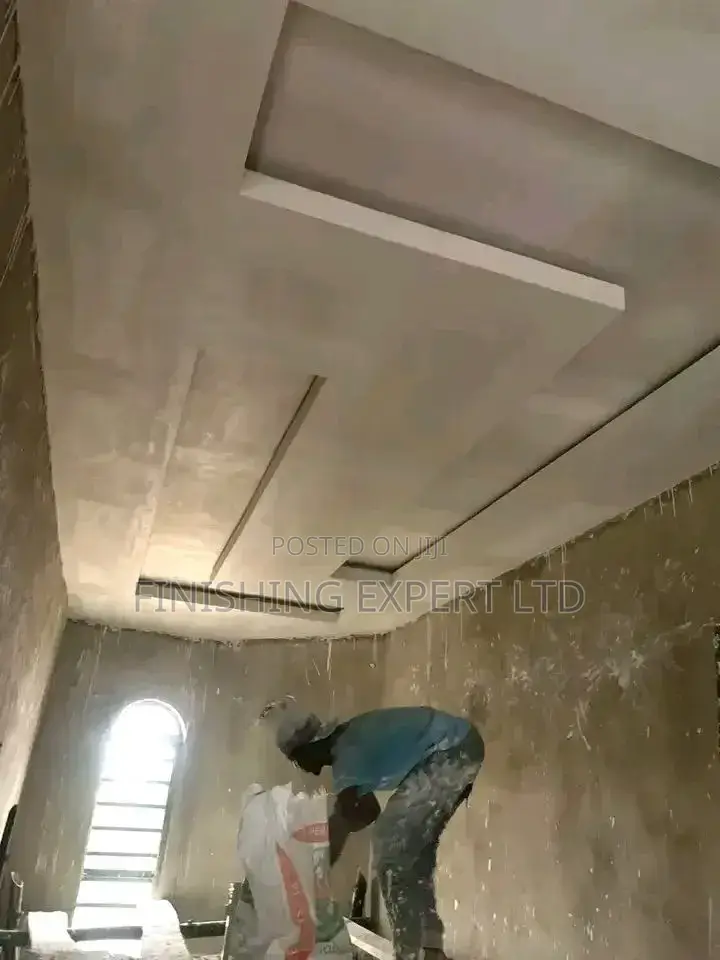 P.O.P Ceiling Expert