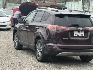 Toyota RAV4 LE AWD (2.5L 4cyl 6A) 2016 Burgundy