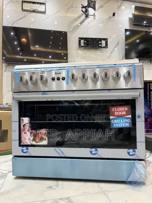 Efficient Durable Ferre 4 Gas + 2 Electric Burner Auto Rotisserie