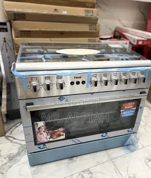 Purchase Adorable Ferre 4 Gas + 2 Electric Burner(Gray)Auto Rotisserie