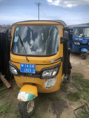 Tricycle 2024 Yellow