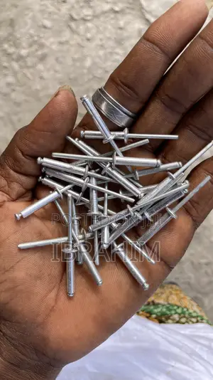 Rivets Pins 12x19
