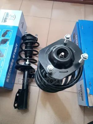 Authentic MEGA Chevy Traverse, Acadia Complete Strut Assembly From USA