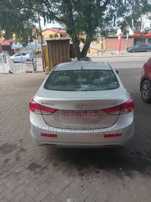 Hyundai Elantra 2013 Gray