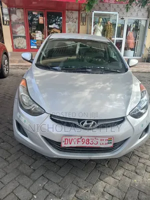 Hyundai Elantra 2013 Gray