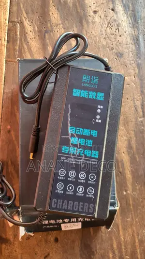 Electric Scooter Charger 48v