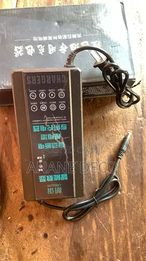 Electric Scooter Charger 48v
