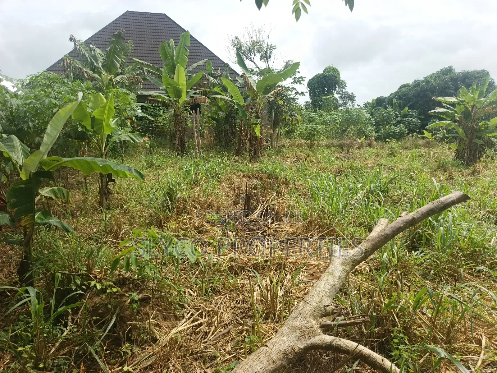 Fully Registered Land for Sale
