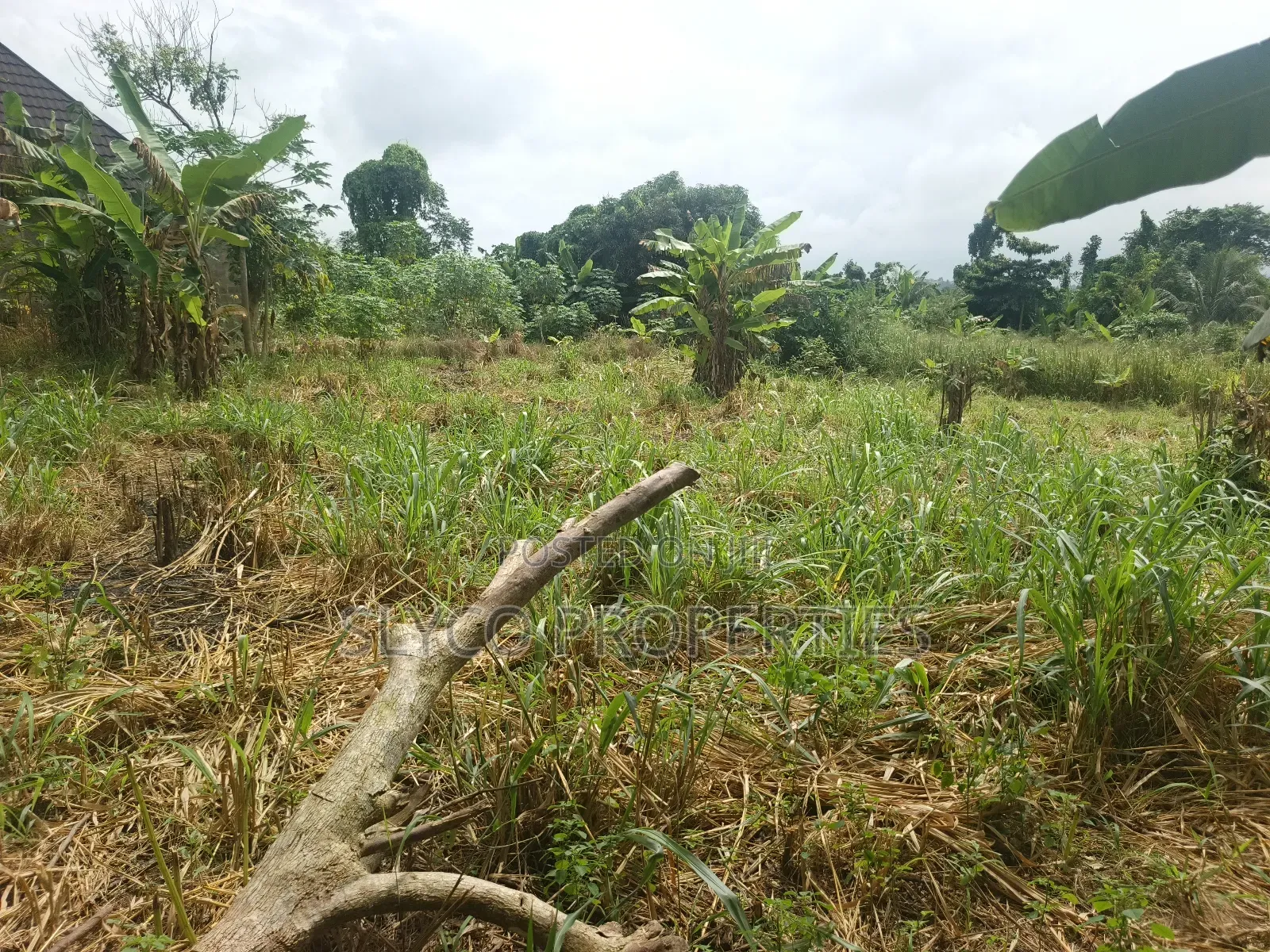Fully Registered Land for Sale