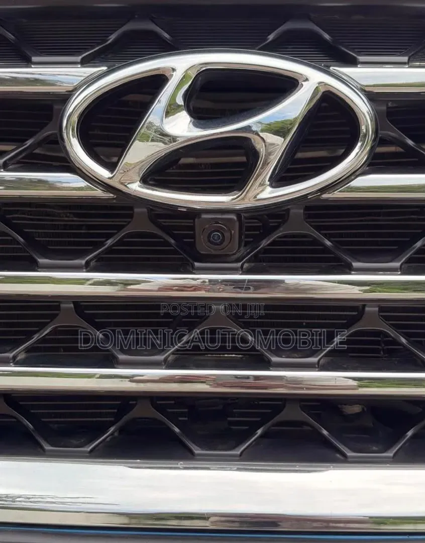 Hyundai Santa Fe 2020 Blue