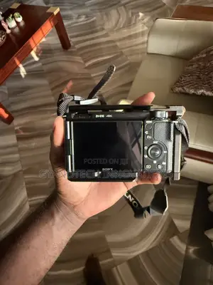 Sony ZVE10