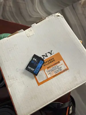 Sony ZVE10