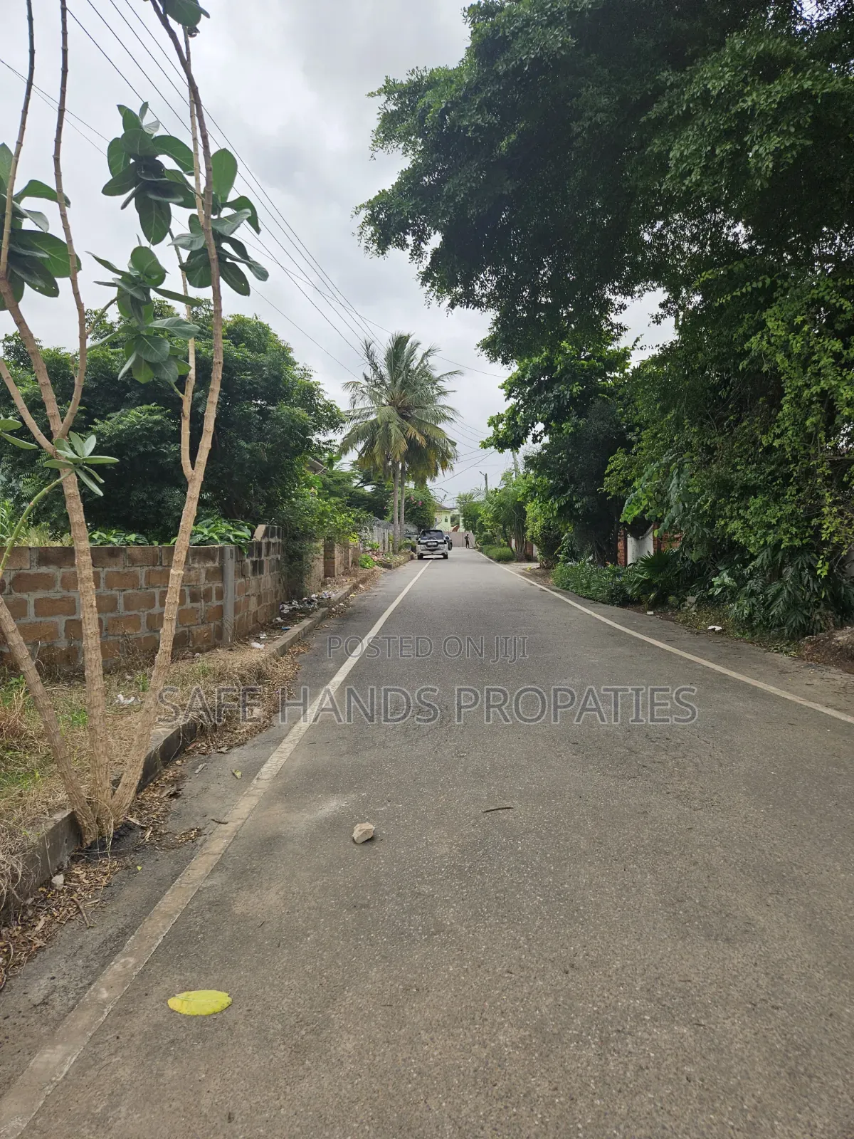One Plot of Land for Sale