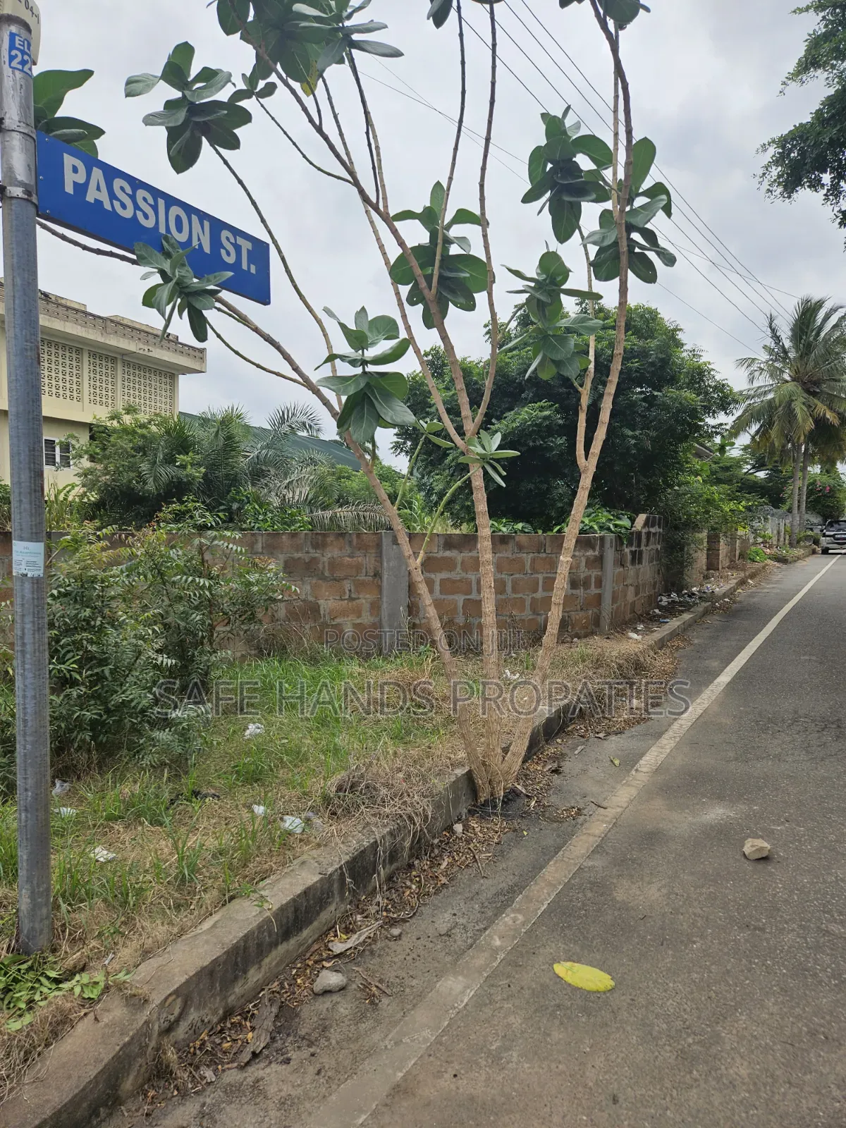 One Plot of Land for Sale