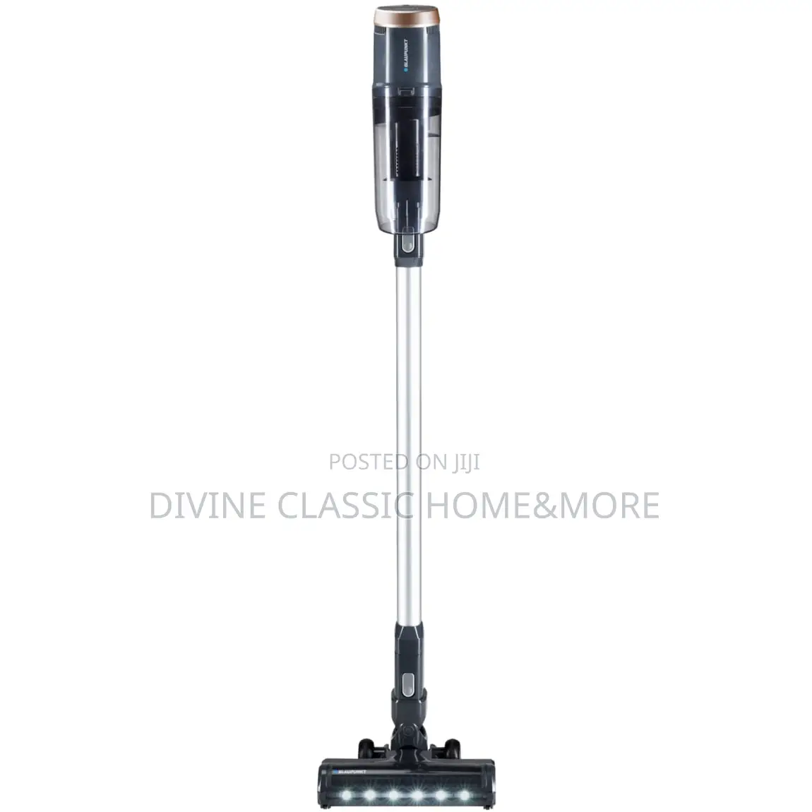 Blaupunkt Powerforce Extreme Cordless Vacuum Cleaner