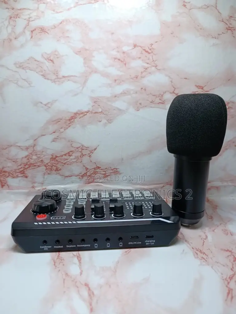 Professional Studio Condenser Microphone for Recording Streaming,
