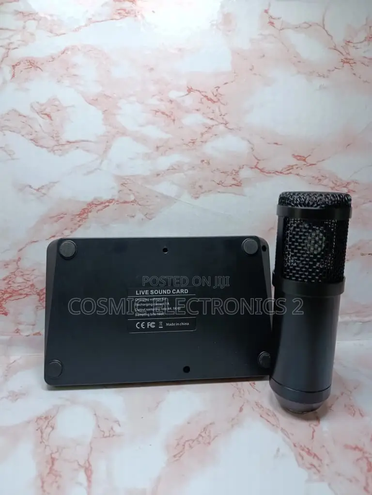 Professional Studio Condenser Microphone for Recording Streaming,