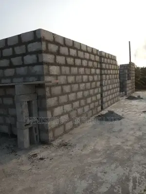 Professional Mason