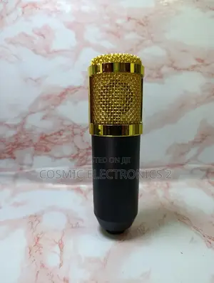Studio Recording Condenser Microphone With Professional Audio Quality
