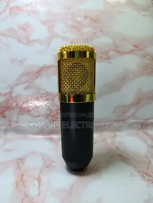 Studio Recording Condenser Microphone With Professional Audio Quality